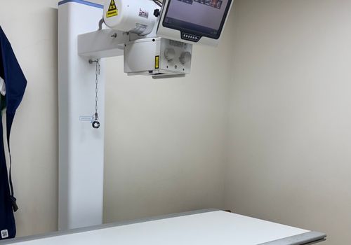 x-ray